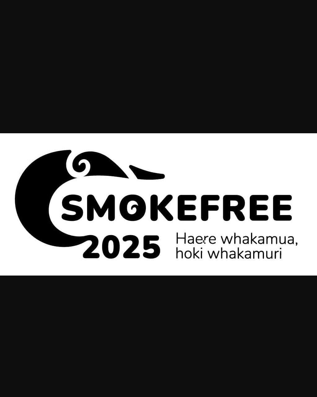 Te Whatu Ora — Data Insights Guide Smokers On Their Quitting Journey case study