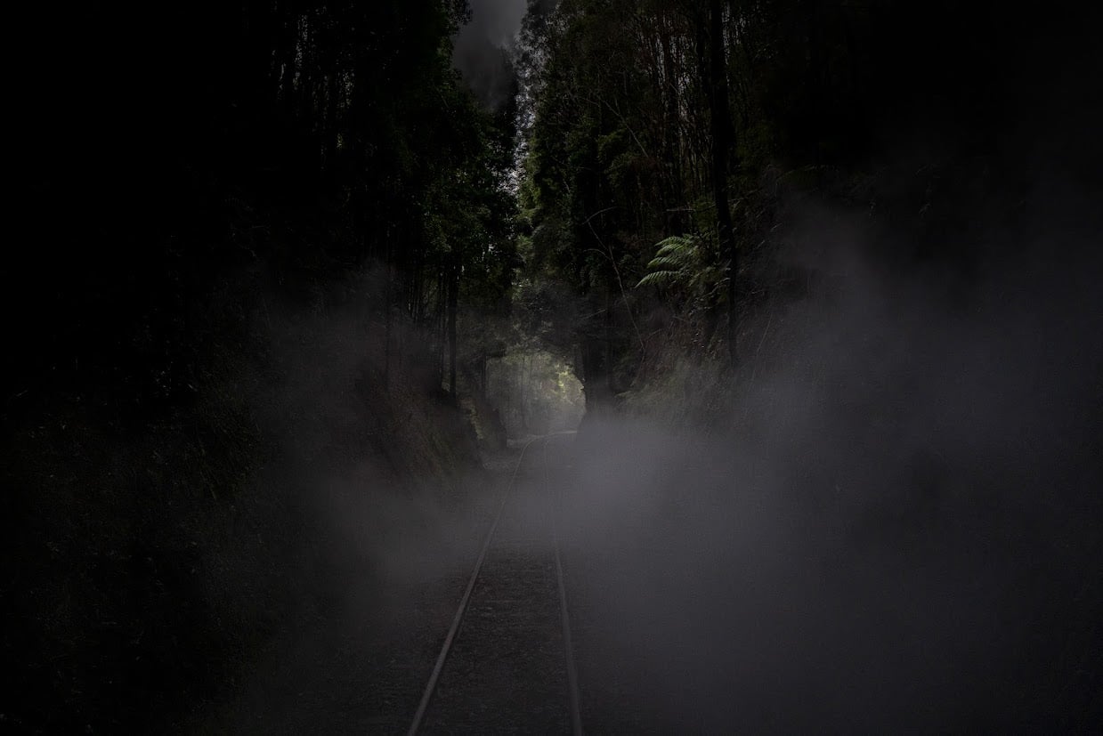 A West Coast Wilderness Railway steam train moving through Tasmanian rainforest